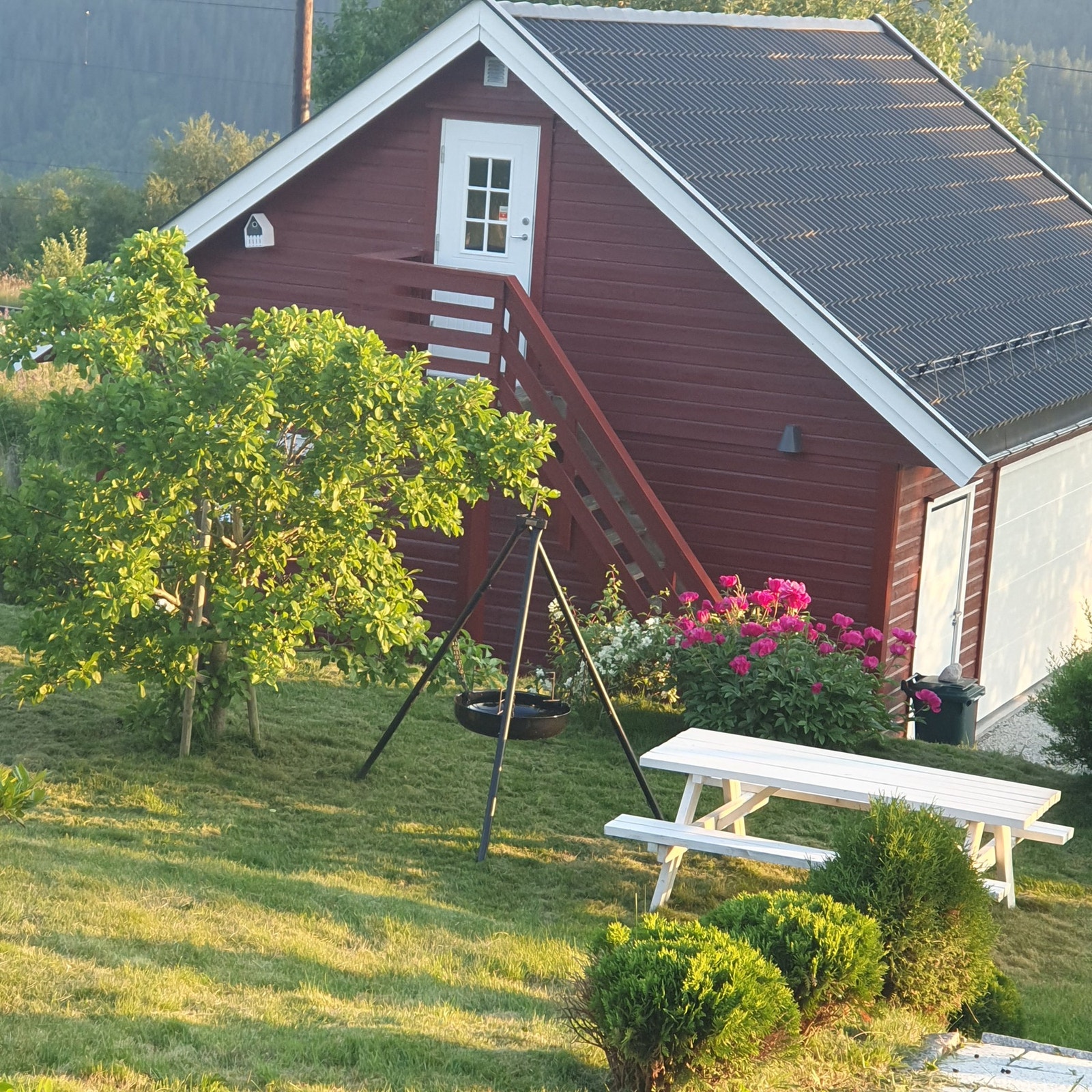 Bilde tatt av selger Galleribilde