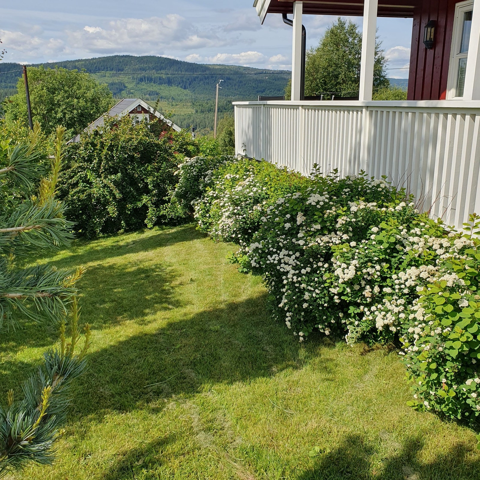 Bilde tatt av selger Galleribilde