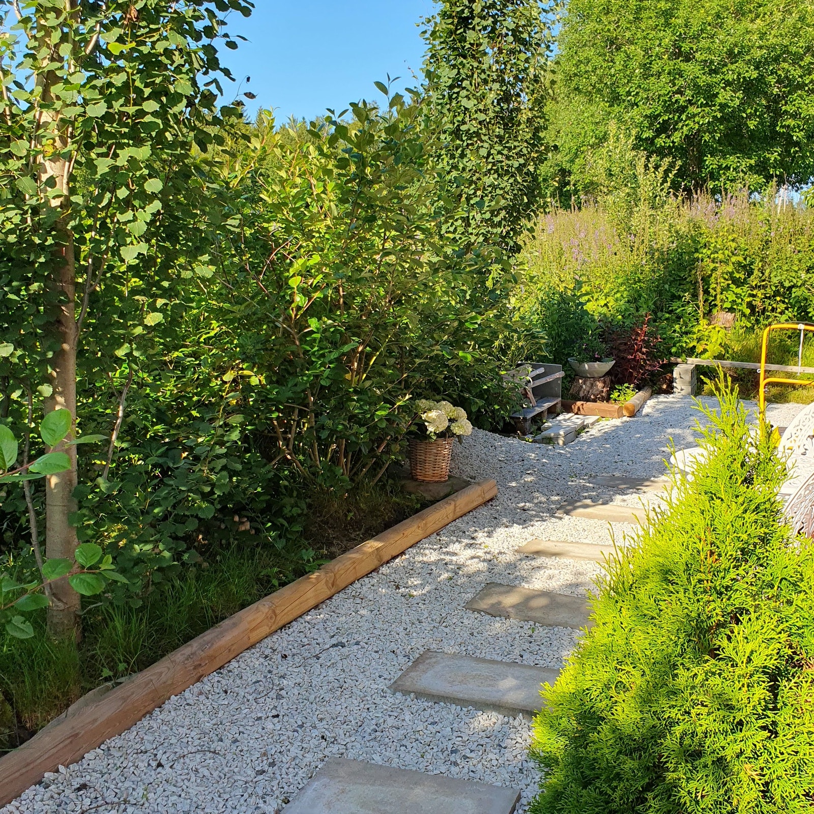 Bilde tatt av selger Galleribilde