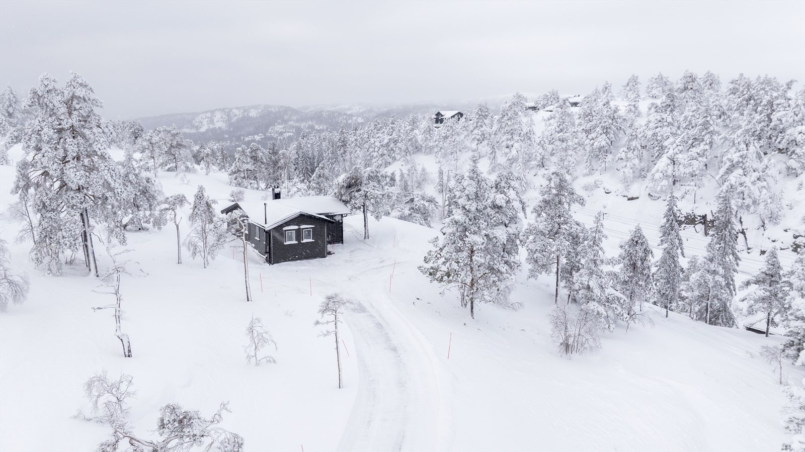 Oversikt Galleribilde