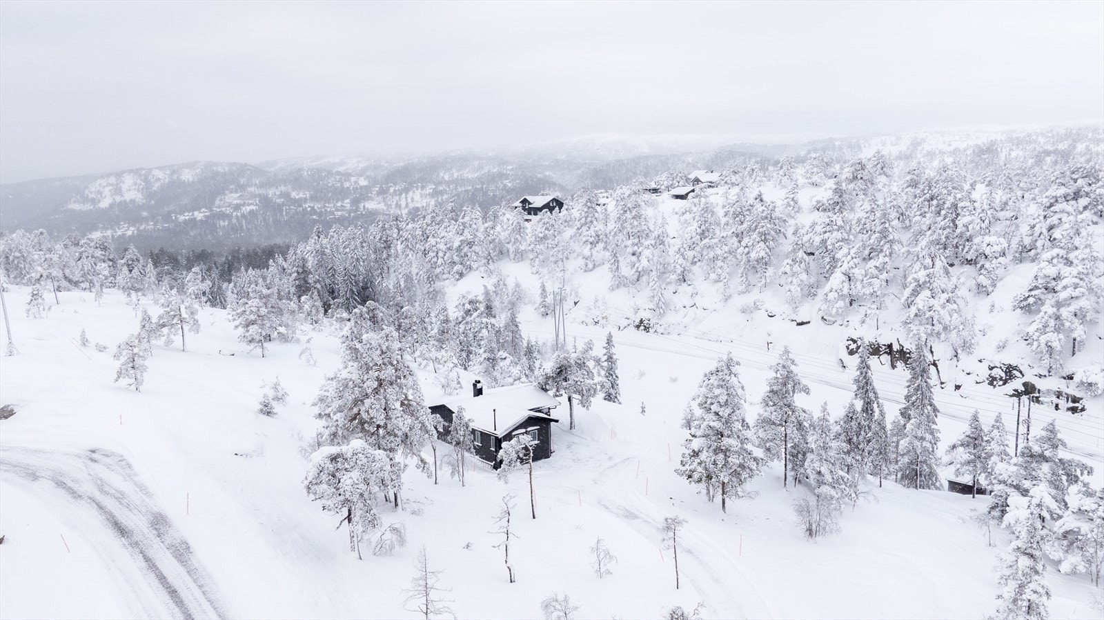 Oversikt Galleribilde