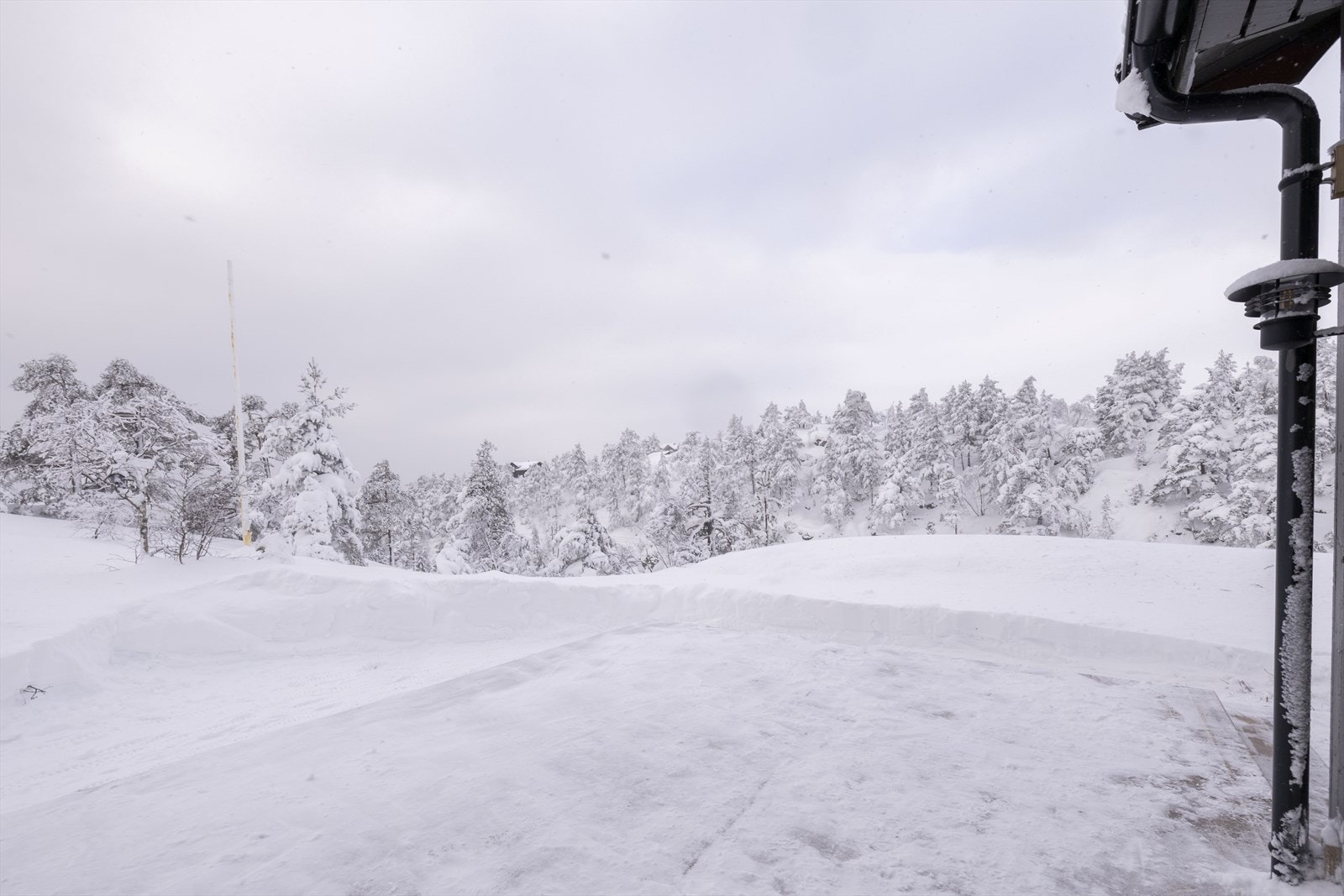 Utvendig Galleribilde