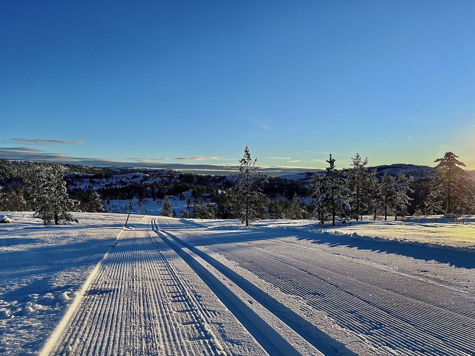 Selgers egne bilder Galleribilde