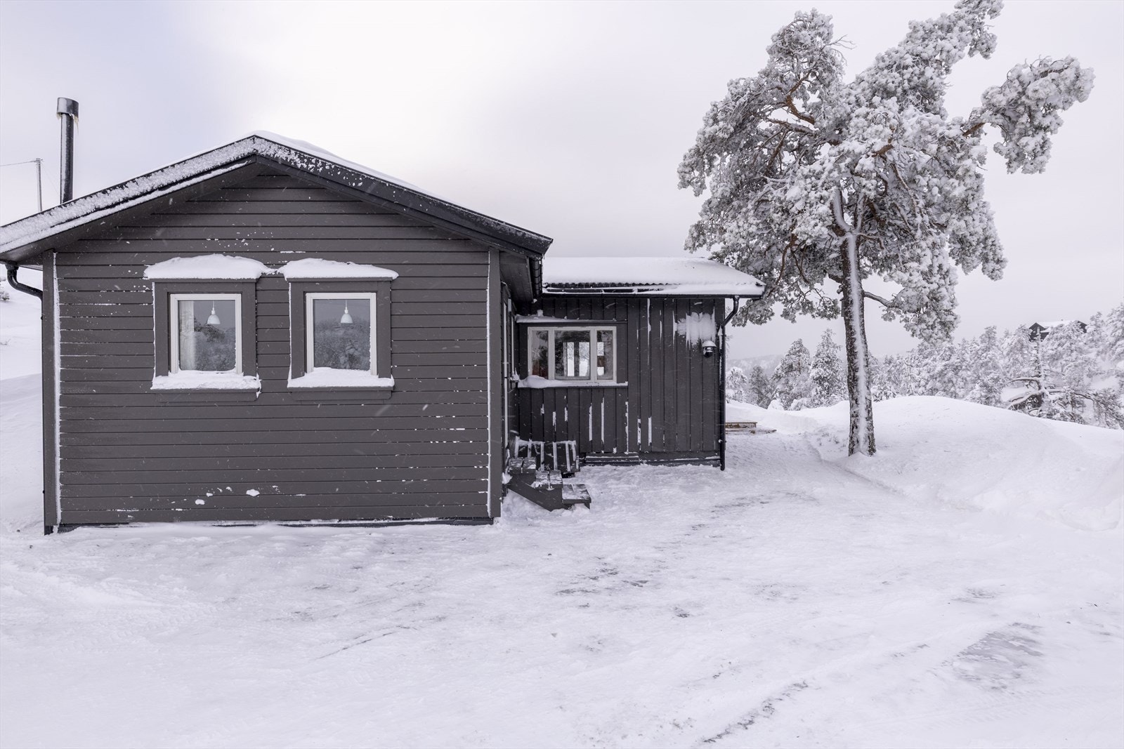 Utvendig Galleribilde