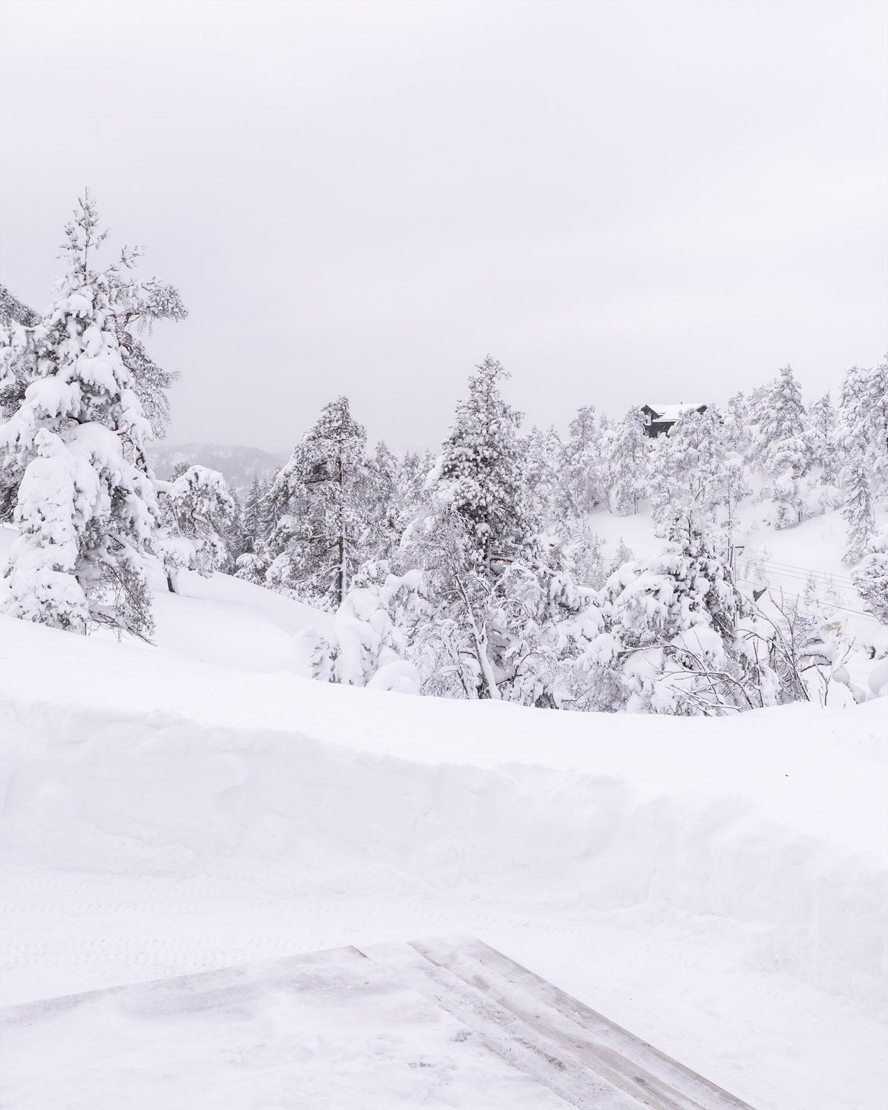 Utvendig Galleribilde