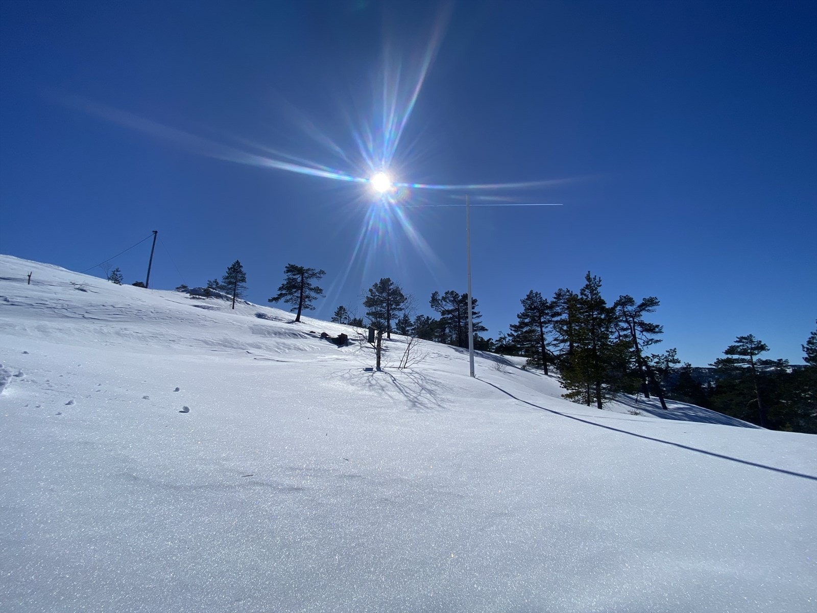 Selgers egne bilder Galleribilde