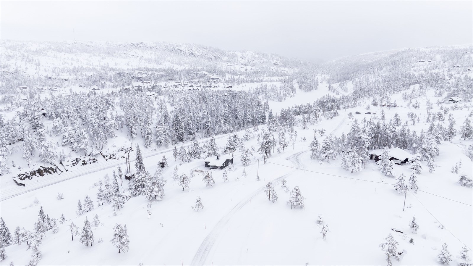 Oversikt Galleribilde