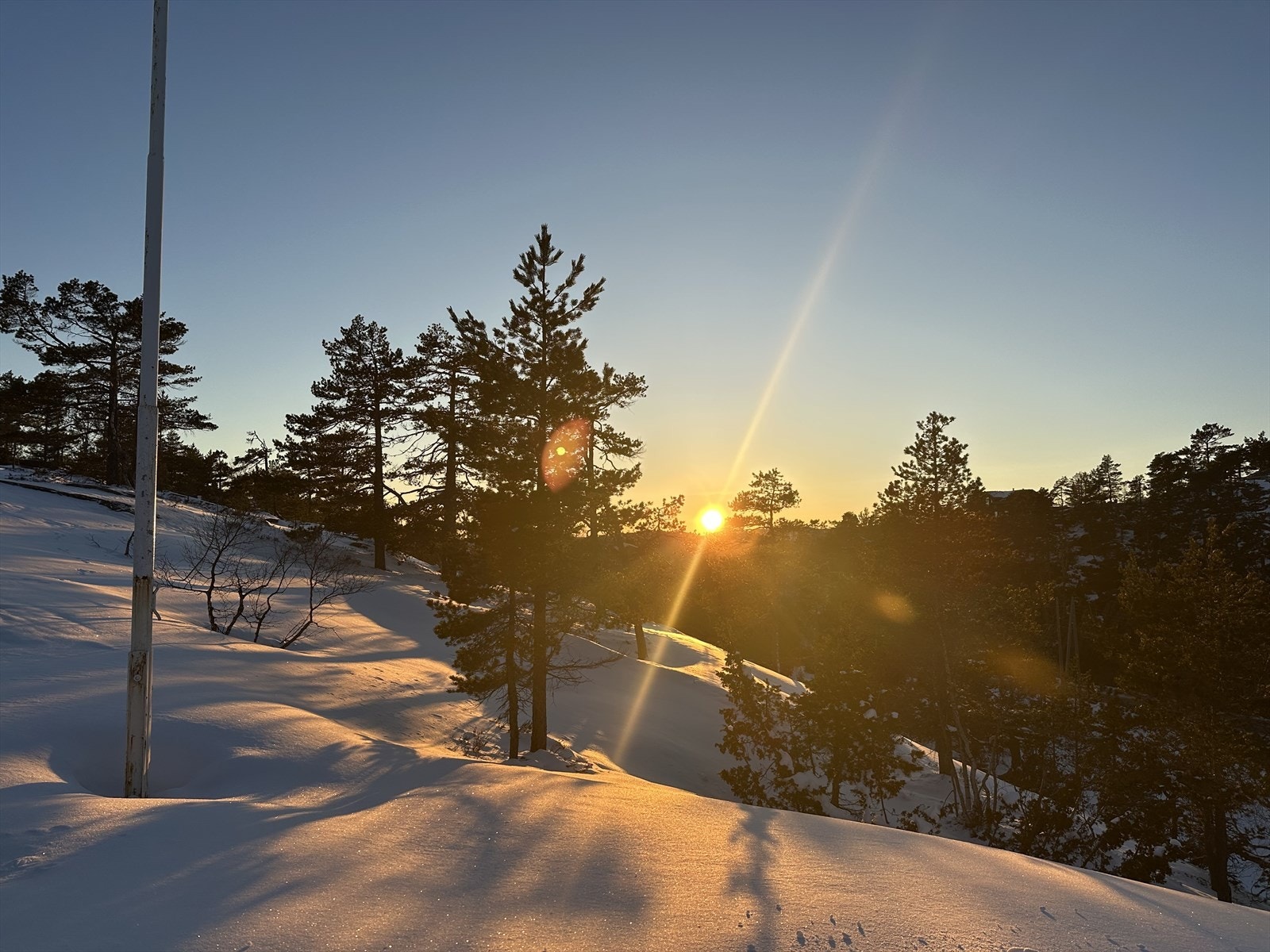 Selgers egne bilder Galleribilde