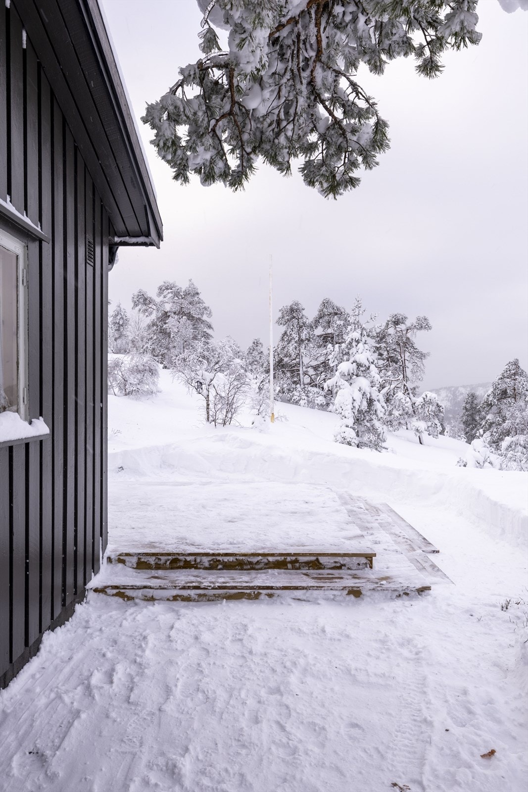 Utvendig Galleribilde