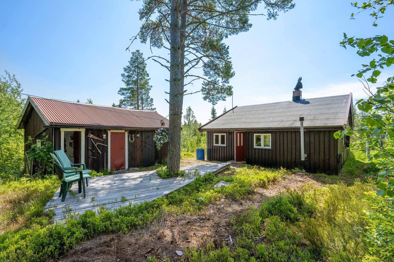 En trivelig og usjenert uteplass mellom hytta og uthuset. Galleribilde