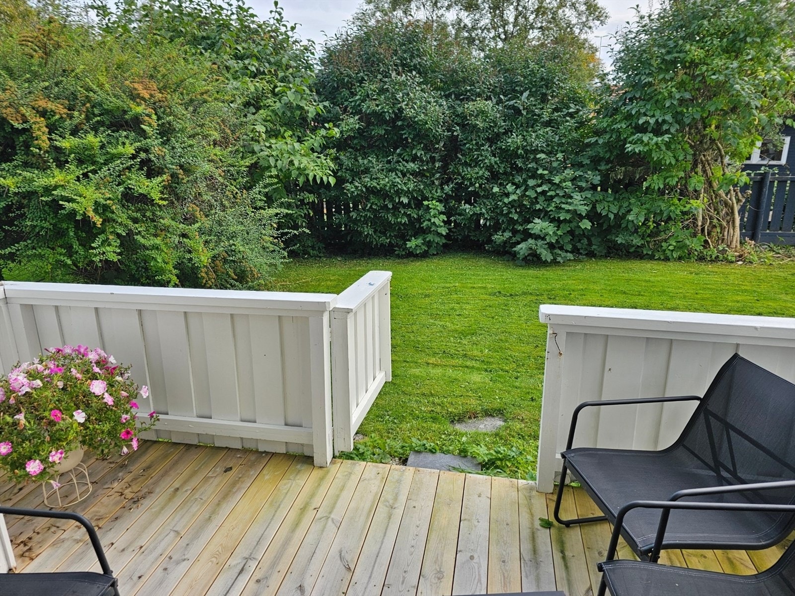 Sommeridyll - bildet tatt av selger. Galleribilde