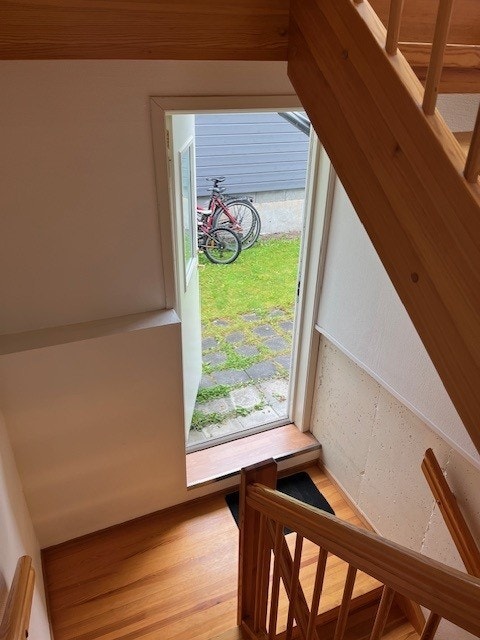 Dør ut til hage Galleribilde