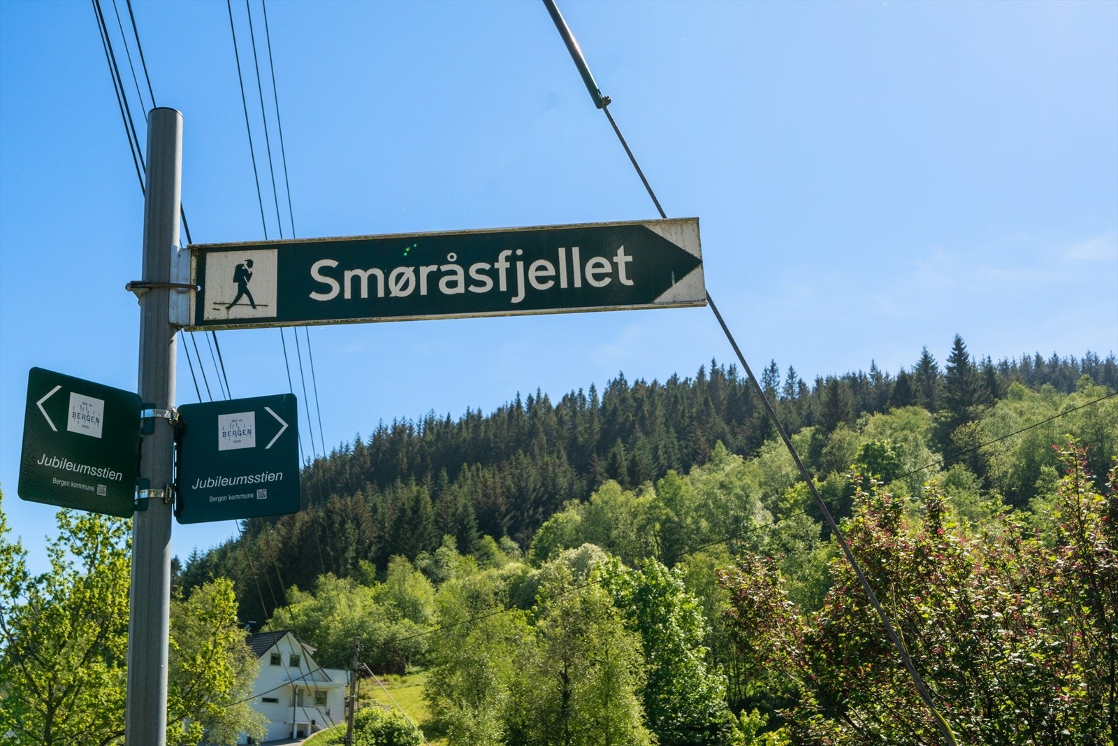 - Smøråsfjellet er et populært turmål med badevann, pauseområder og fine stier, mens Birkelandsbotnen gir videre adkomst til turstien rundt Myrdalsvatnet - Galleribilde