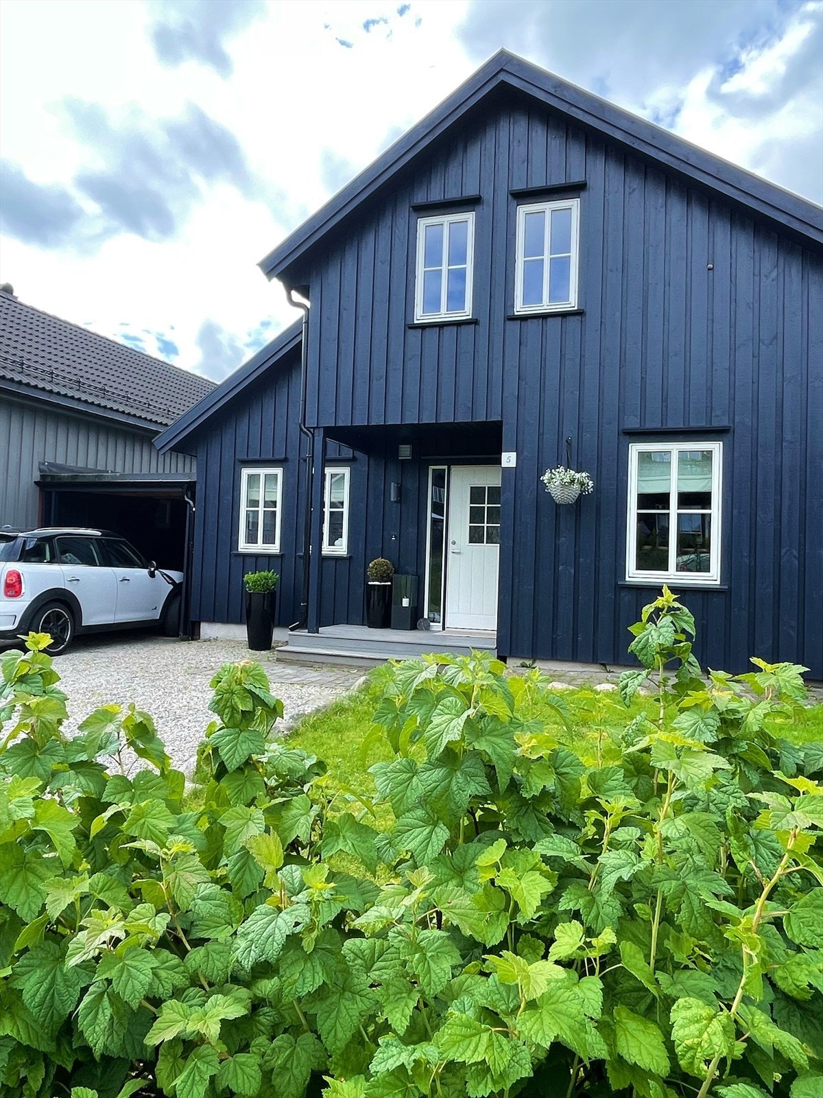 Sommerbilde fra selger Galleribilde