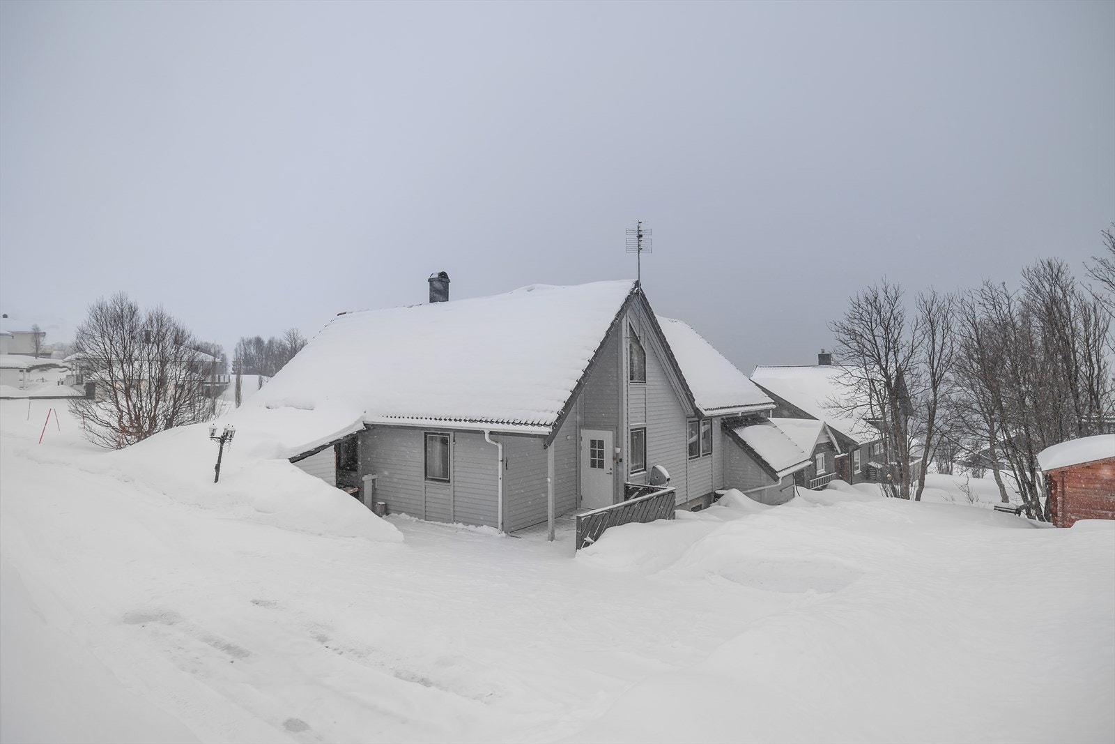 Velkommen til visning! Galleribilde