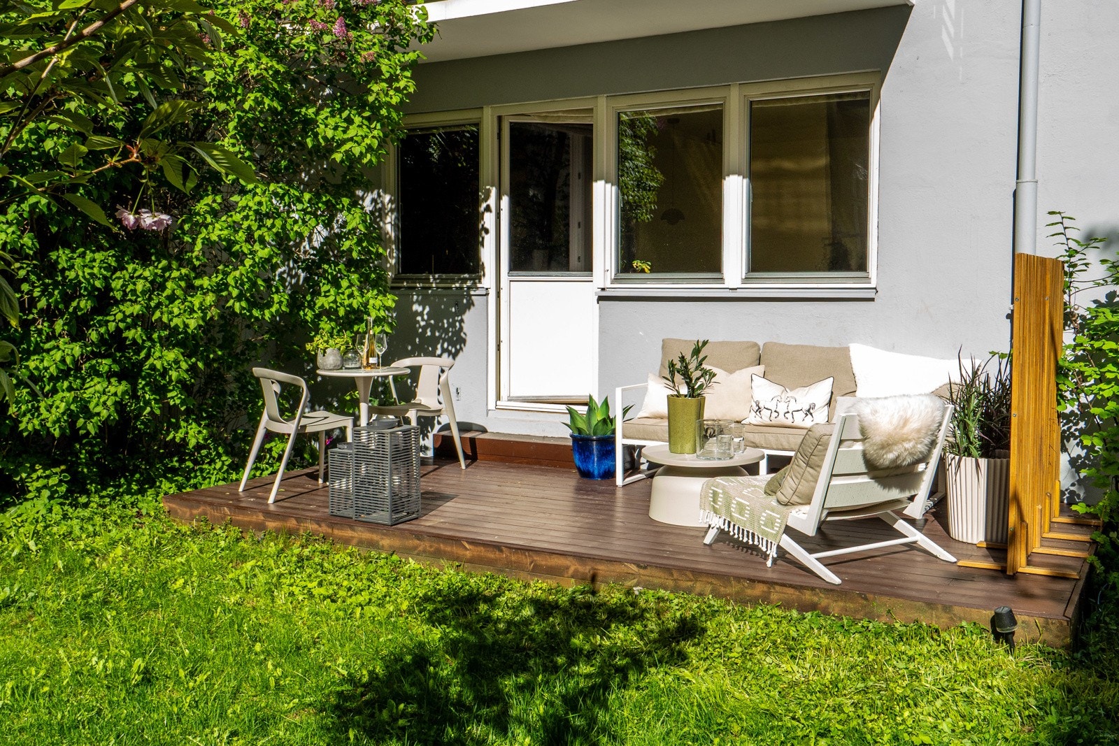 Stille og usjenert dog midt i byen Galleribilde