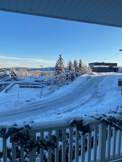 Selgers private bilde. Galleribilde