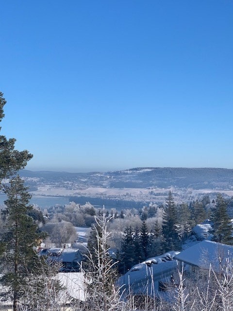 Selgers private bilde. Galleribilde