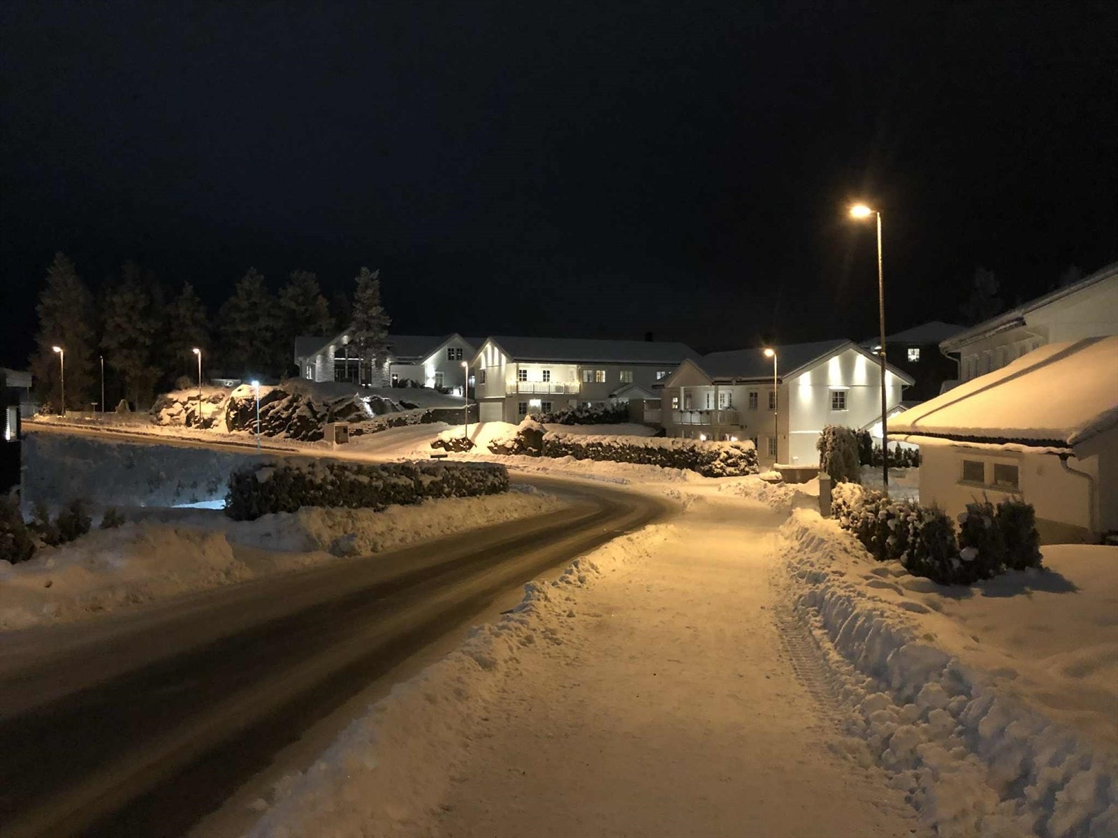 Selgers private bilde. Galleribilde