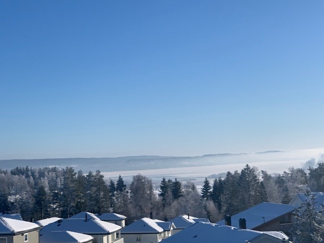 Selgers private bilde Galleribilde