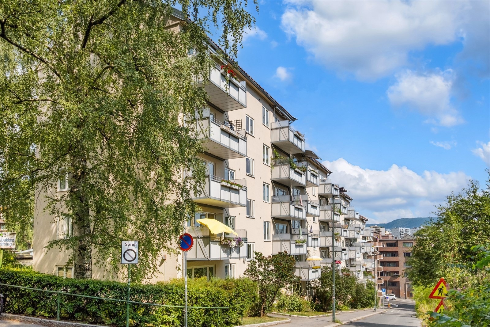 Fasade sommer Galleribilde