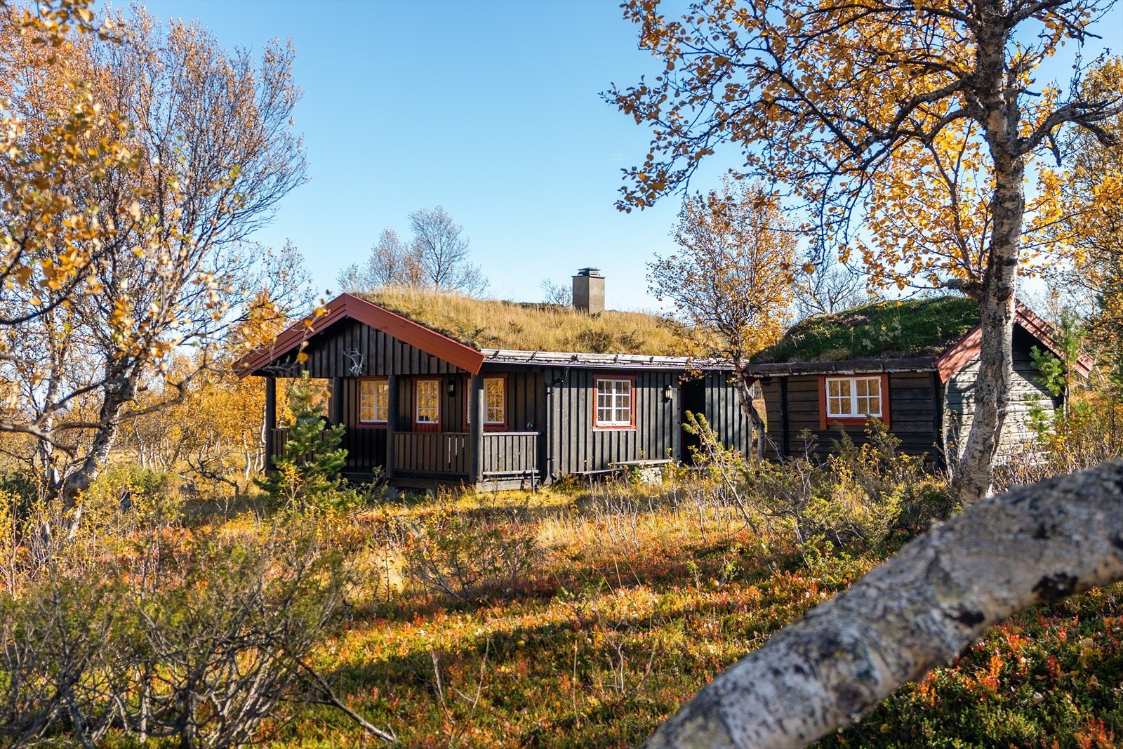 Velkommen til en flott og velholdt hytte med torvtak øverst i det poulære hytteområdet Sørøyåsen på Nerskogen. Galleribilde