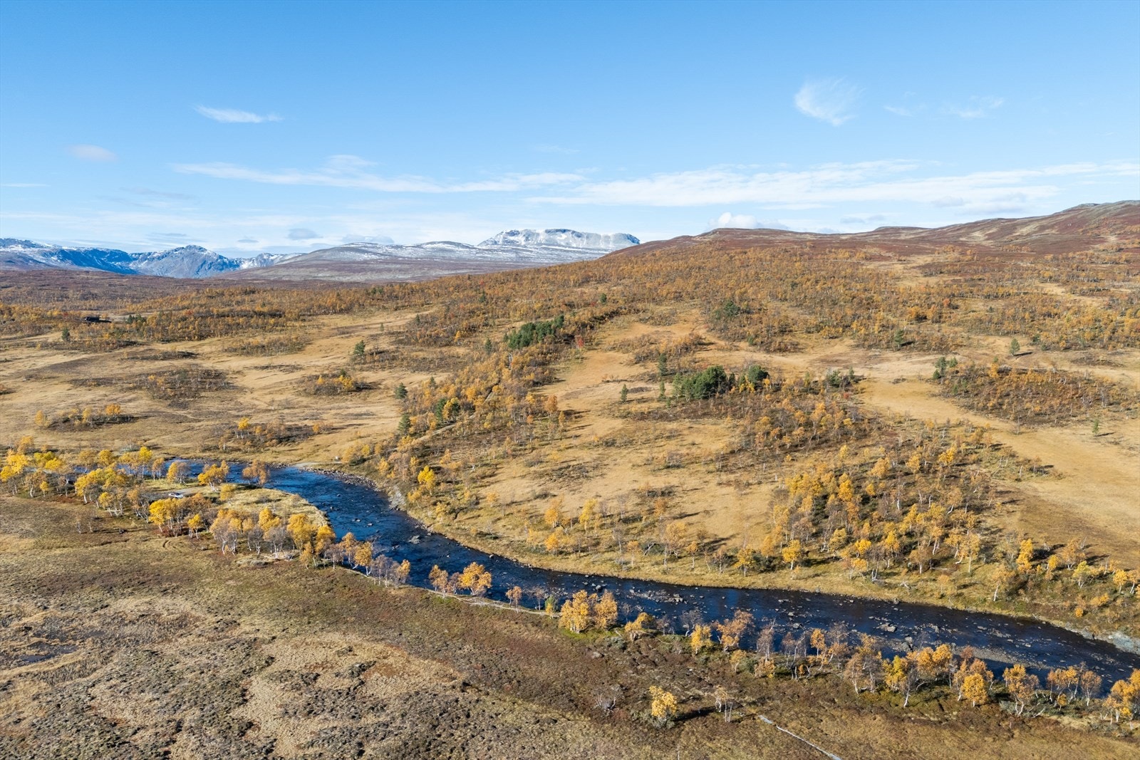 Skiløypene går like ved hytta og herfra kan du hekte deg på et eminent løypenettverk. Galleribilde