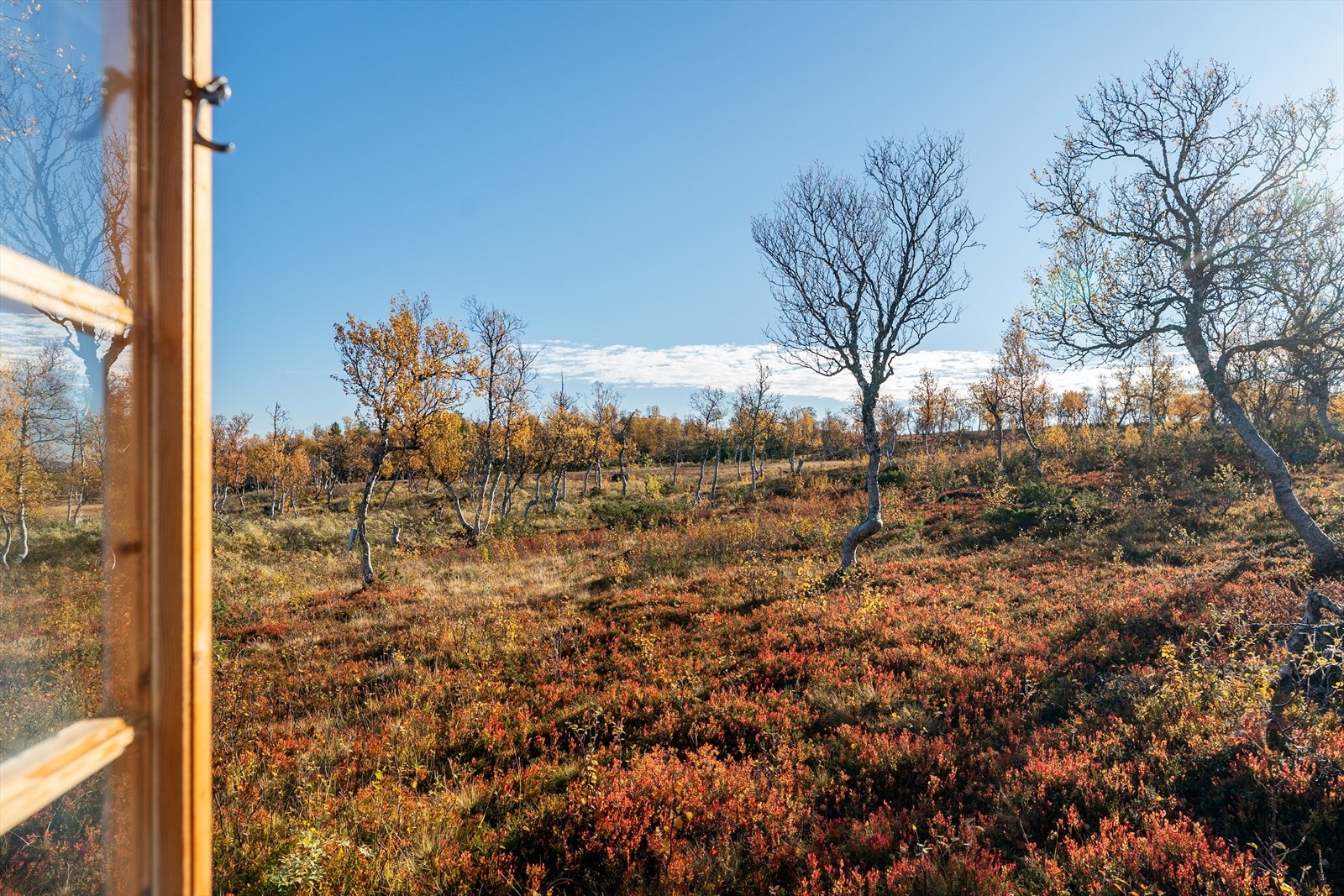 Fra hytta har du fantastisk utsikt i alle retninger med blant annet utsikt mot Svarthetta, Blåhøa og Gråfjellet. Galleribilde