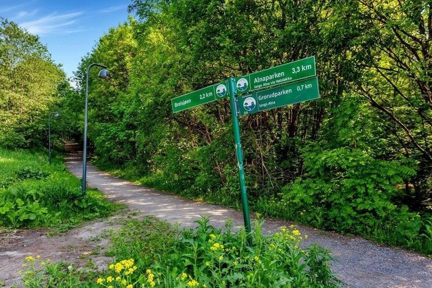 Turmulighetene er mange! Galleribilde