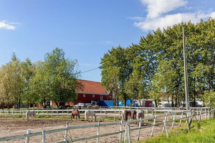 Nordtvet gård Galleribilde