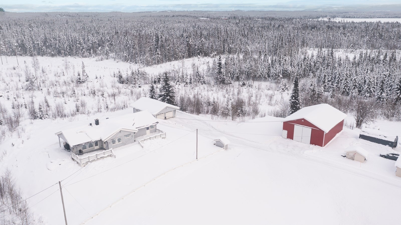 Oversiktsbilde viser husets plassering i forhold til skogen og andre bygninger. Foto: GOAT Media Productions Galleribilde