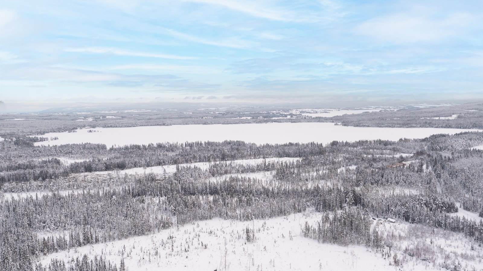 Nederst i bildet fremkommer et skogområde som er avvirket i nyere tid, med pågående gjenplanting i tråd med skogbruksmessige prinsipper. Galleribilde