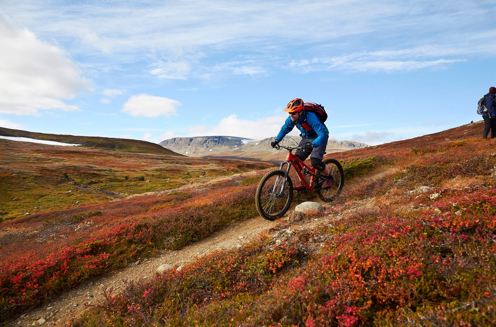 Foto: Morten Knudsen Galleribilde