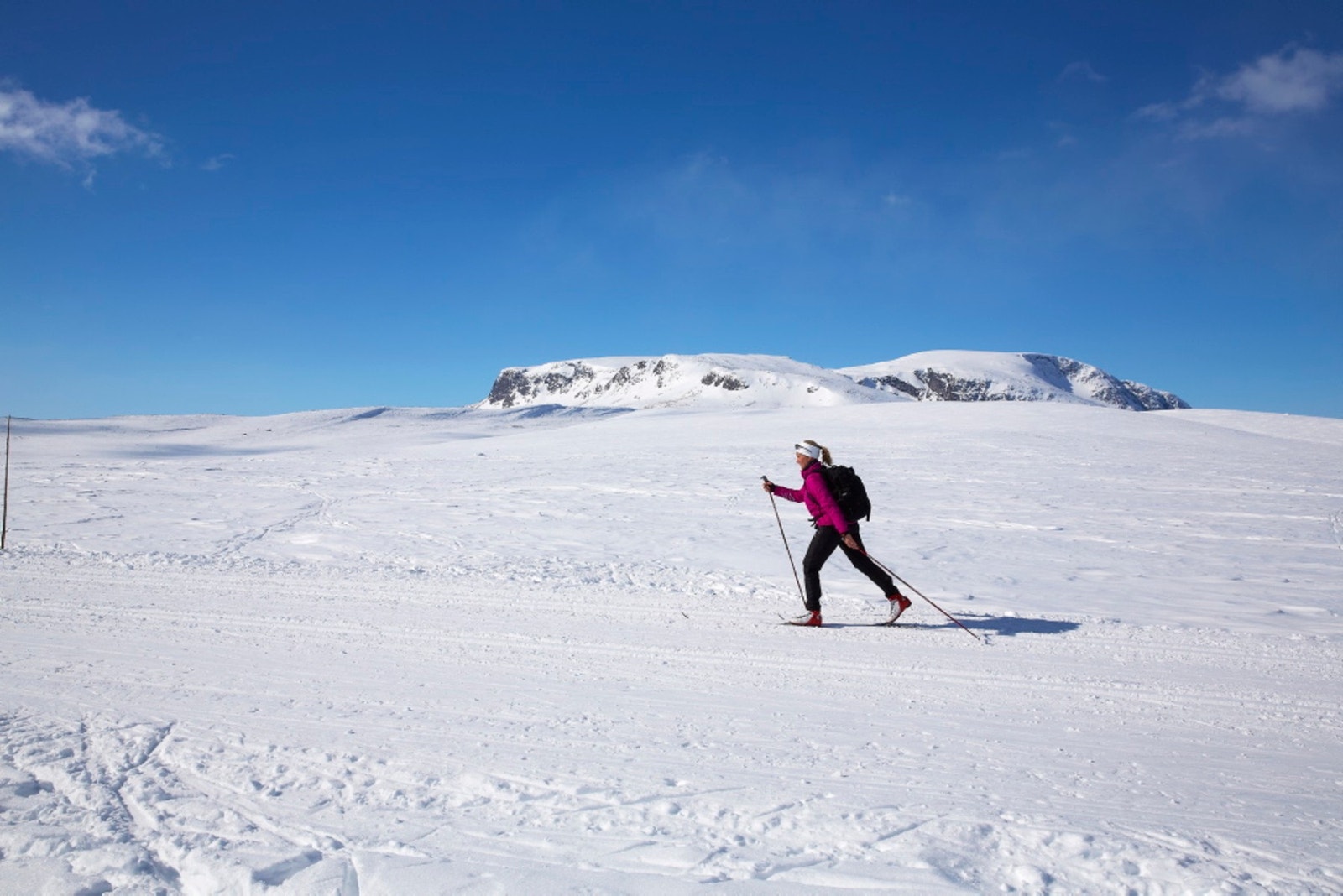 Foto: Morten Knudsen Galleribilde
