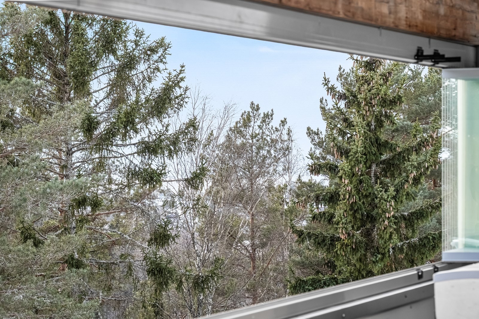 Hyggelig utsyn over grønne omgivelser Galleribilde