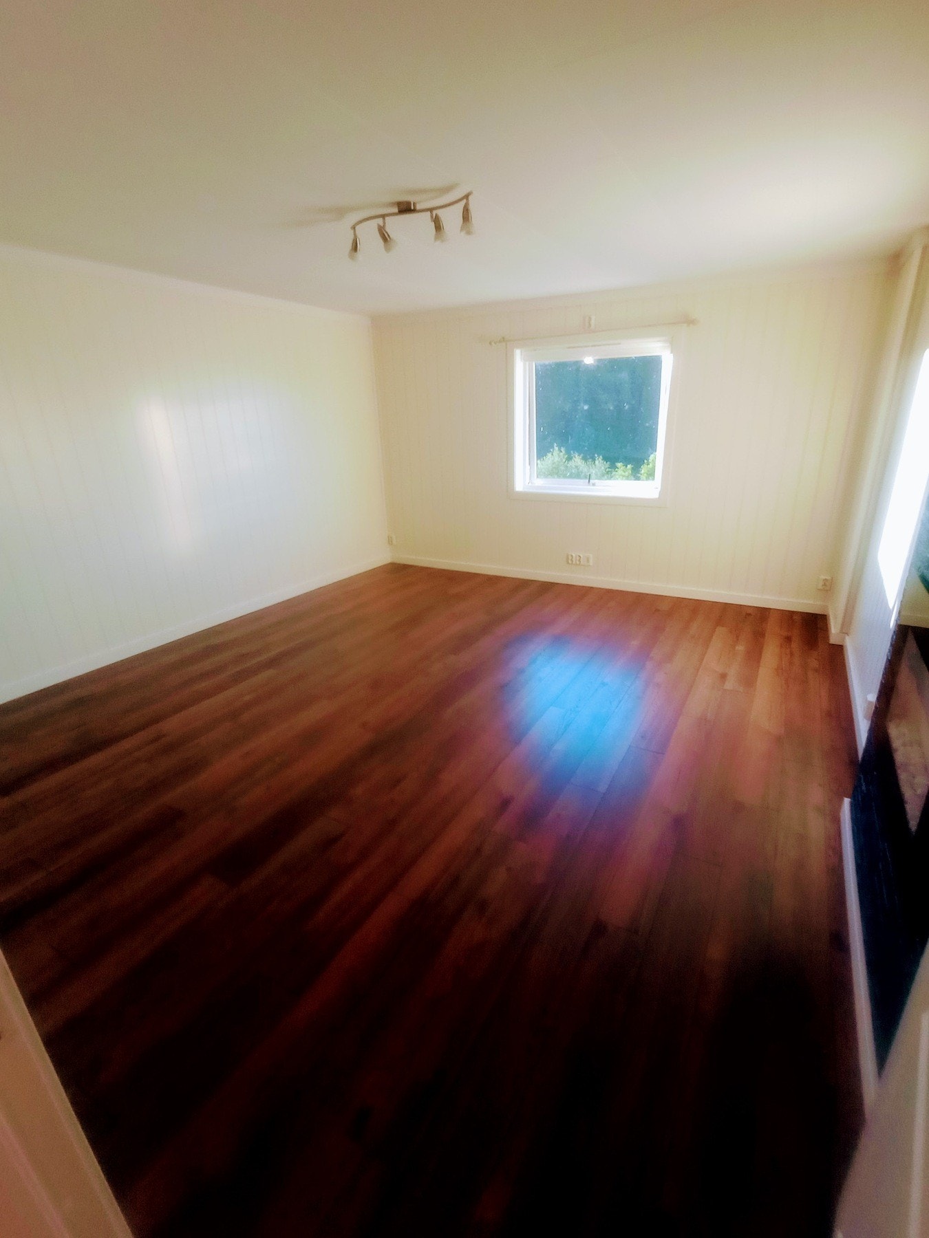 Privat bilde fra selger Galleribilde