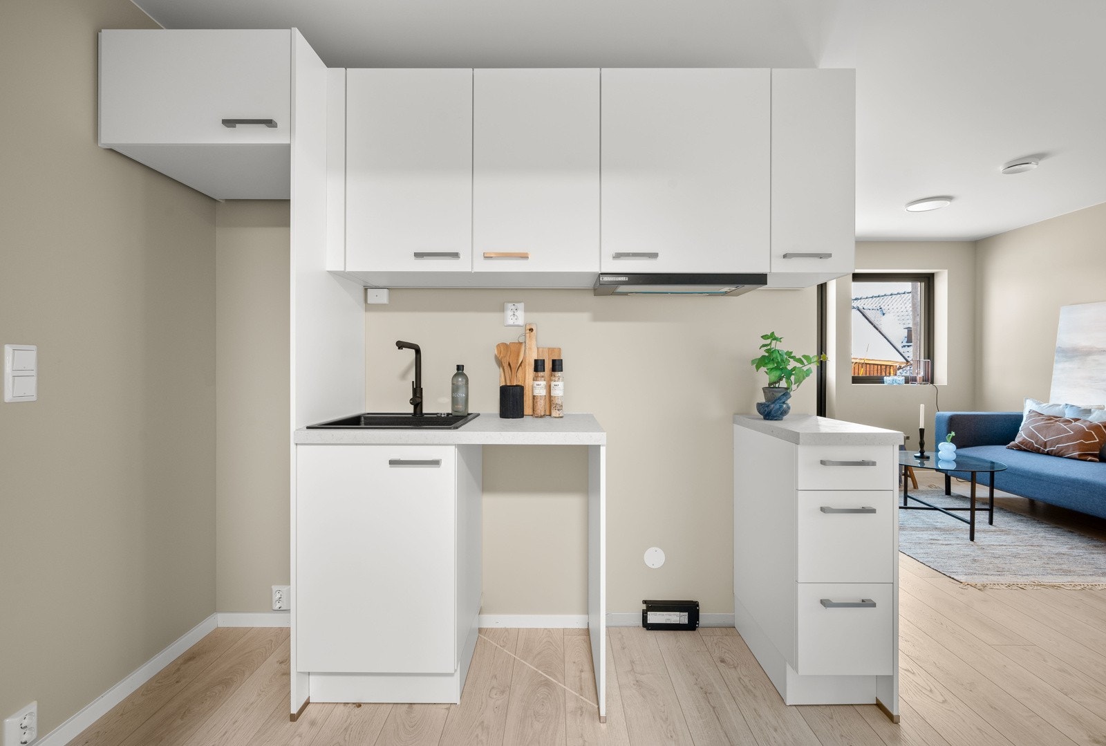 Det er vask og innredning i stuen. Galleribilde