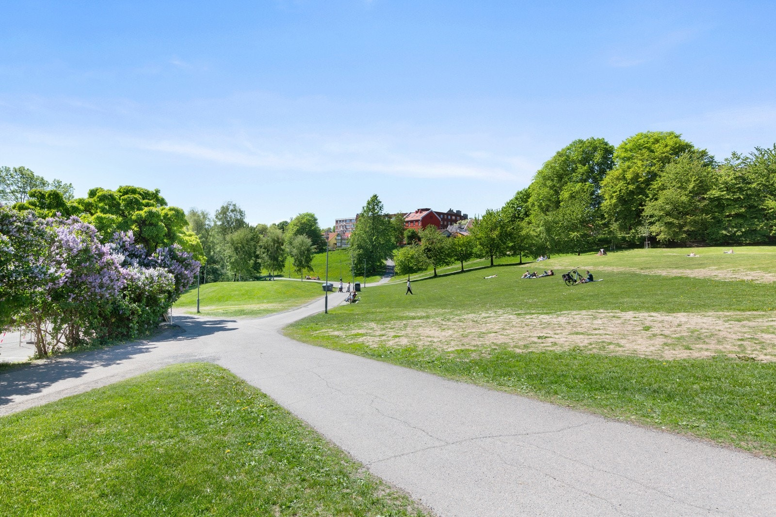 Det er grønne parker og et utbredt kollektivtilbud i umiddelbar nærhet. Galleribilde