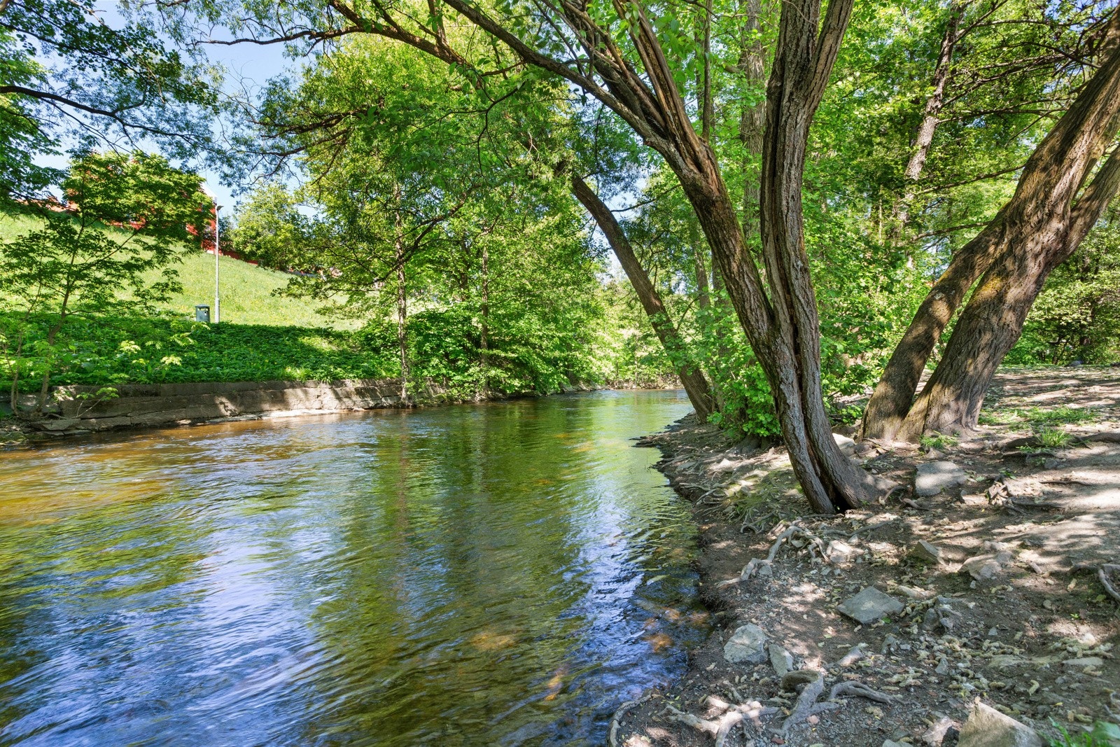 Det vil komme IN-ordning på alle lånene i borettslaget. Galleribilde
