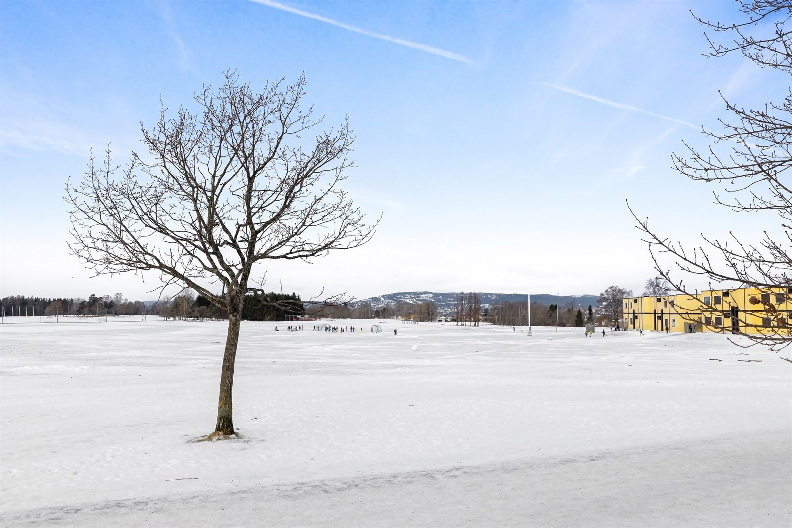 Store og grønne friområder like ved leiligheten. Ekebergsletta ligger 2 minutters gange fra ytterdøren. Galleribilde
