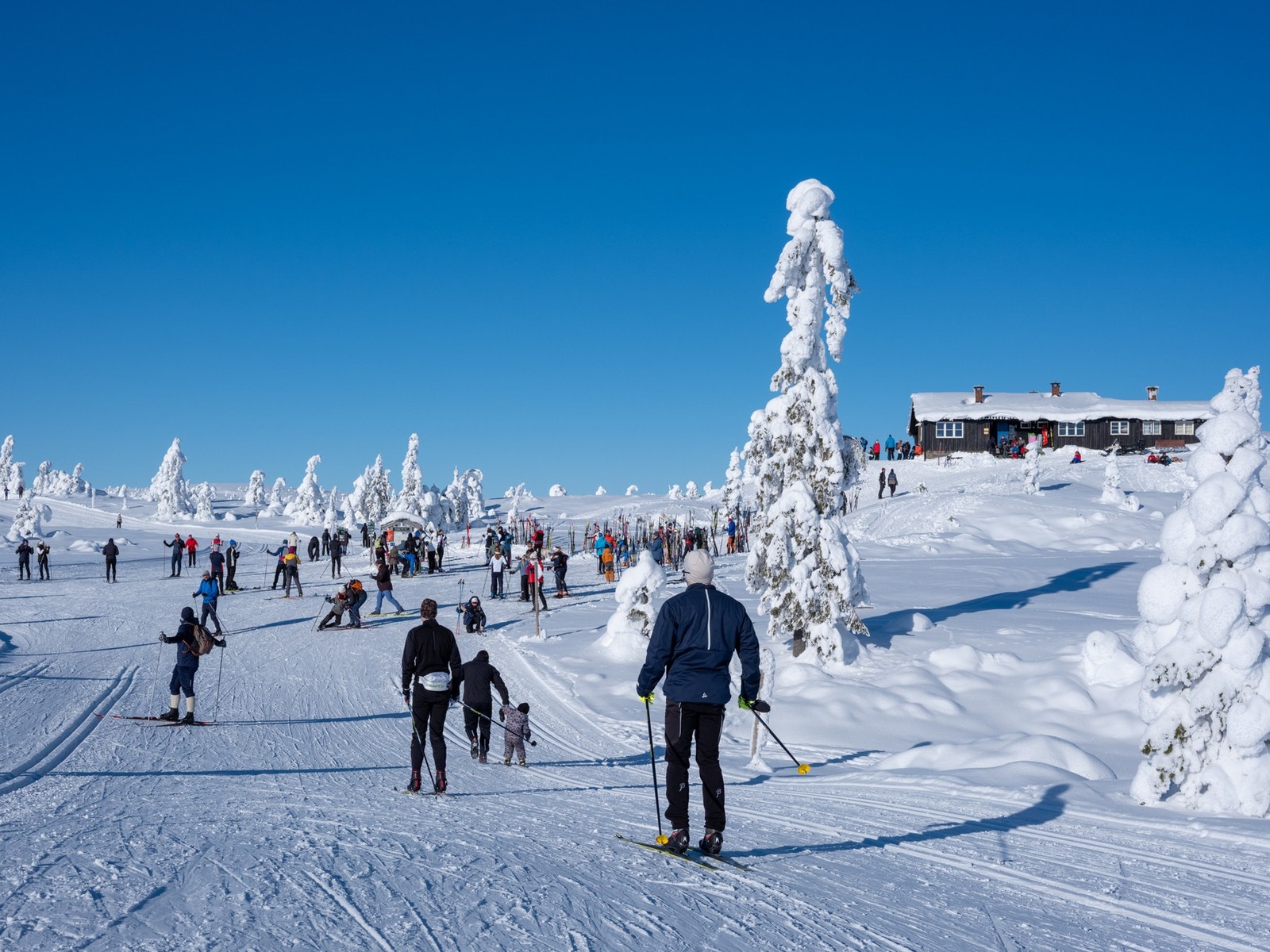 Ikke lange turen opp til Strutåsen som endelig har åpnet igjen Galleribilde