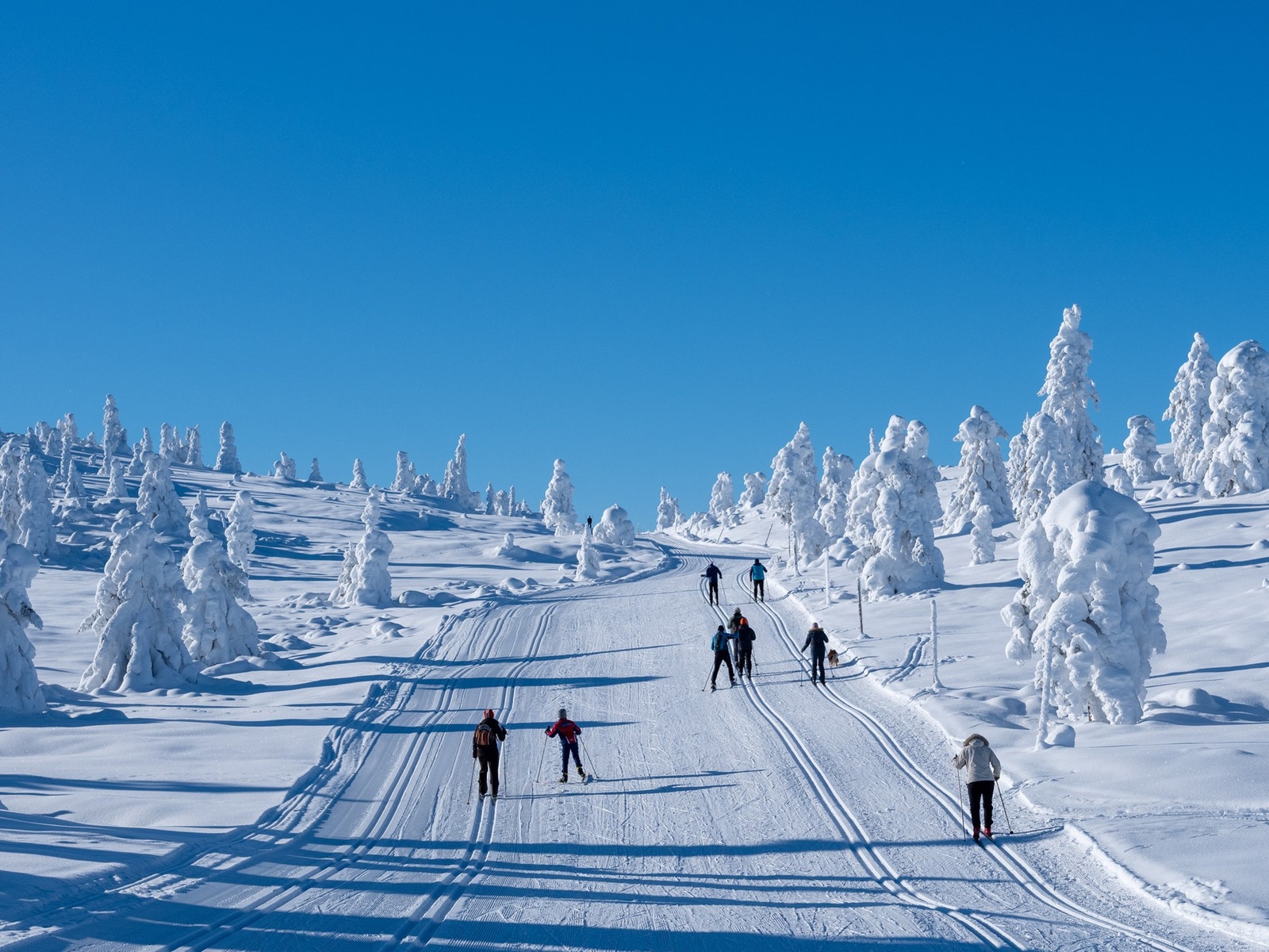 Her begynner turen innover fjellet Galleribilde
