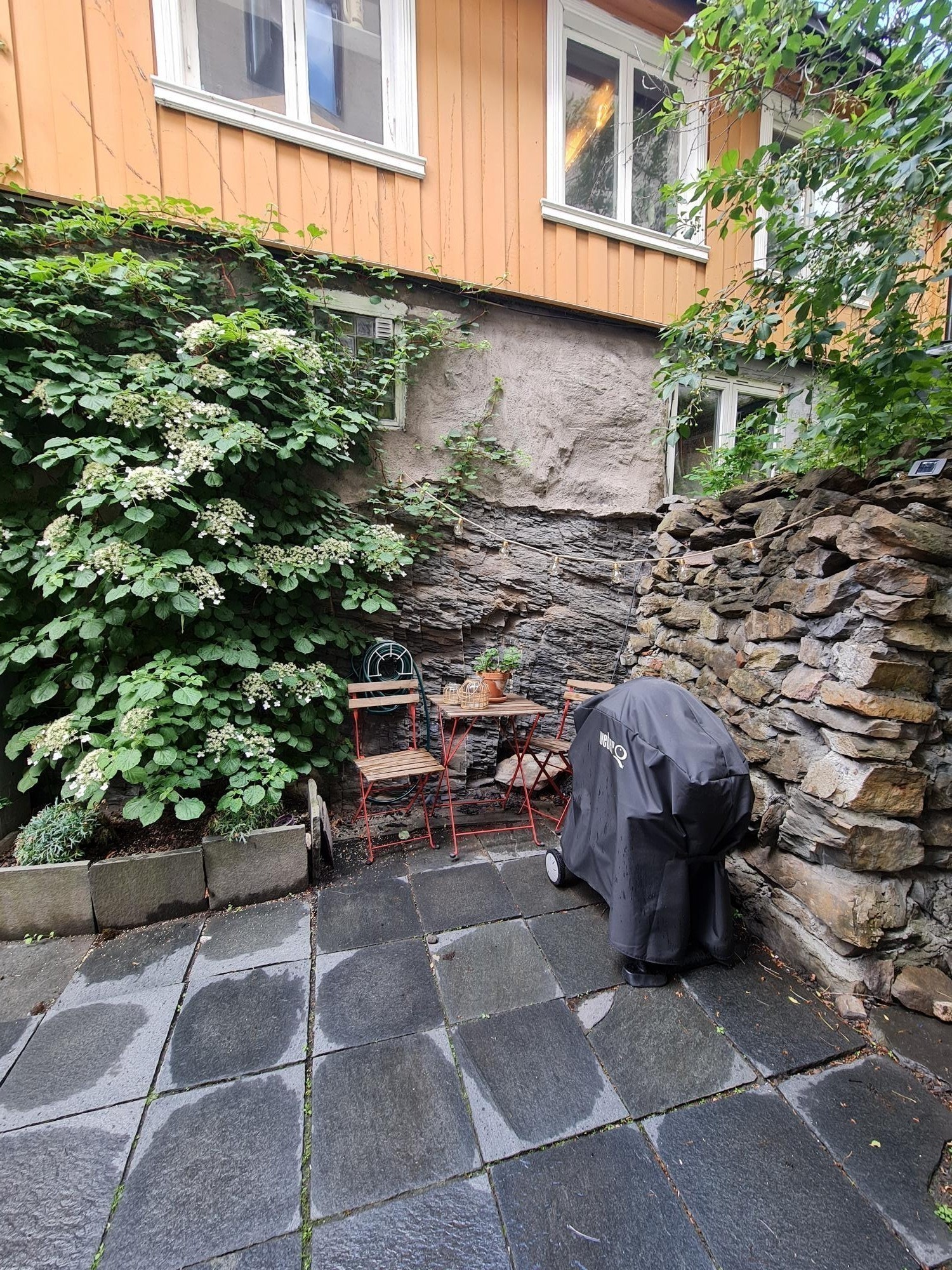 Bakgården Galleribilde