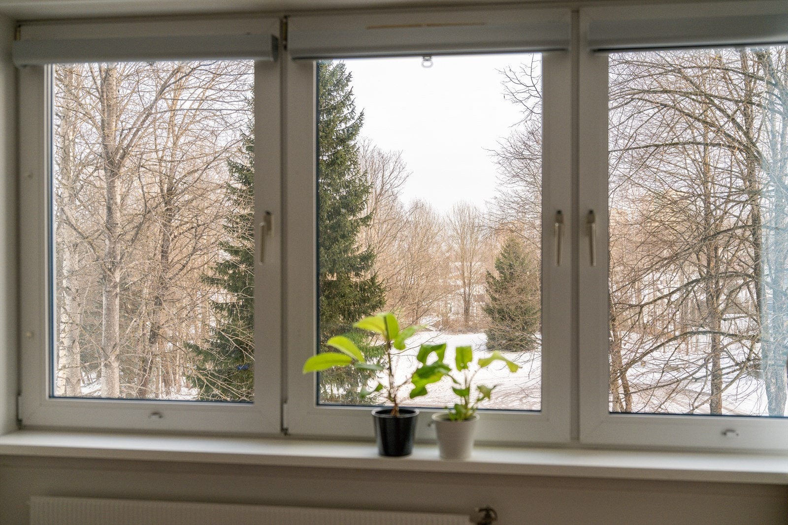 Rommet har et vindu som gir naturlig lys. Galleribilde