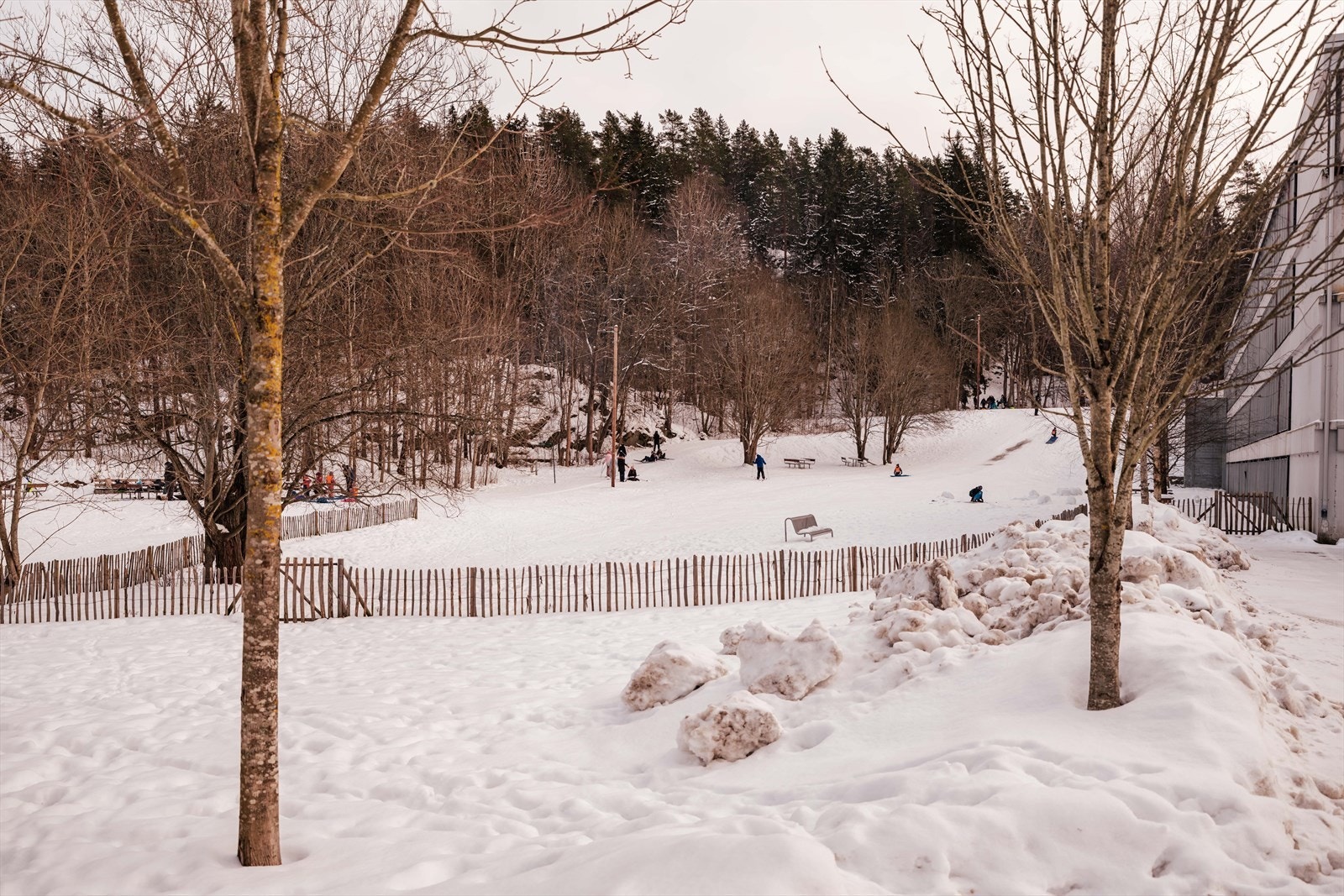 Hyggelig utsyn mot nærområdet. Galleribilde