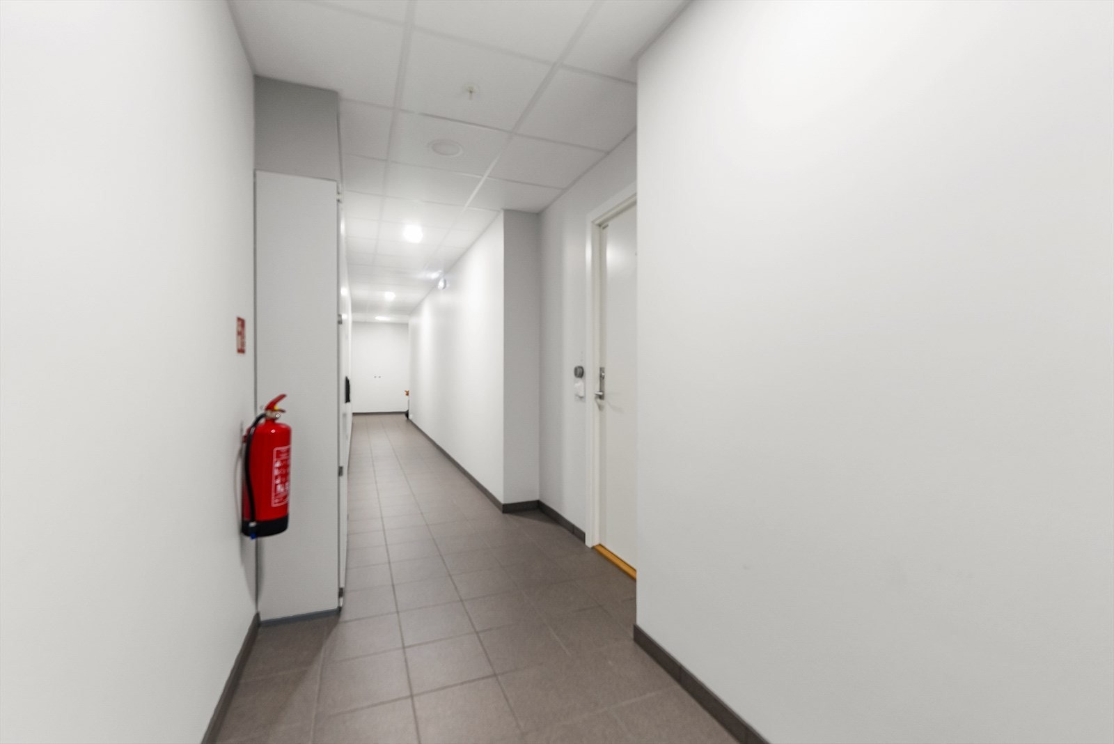 Felles gang Galleribilde