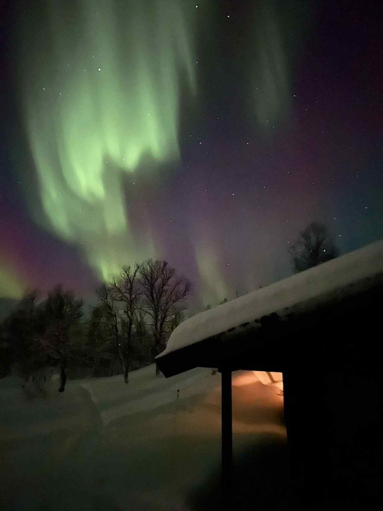 Stemningsbilde vinter Galleribilde