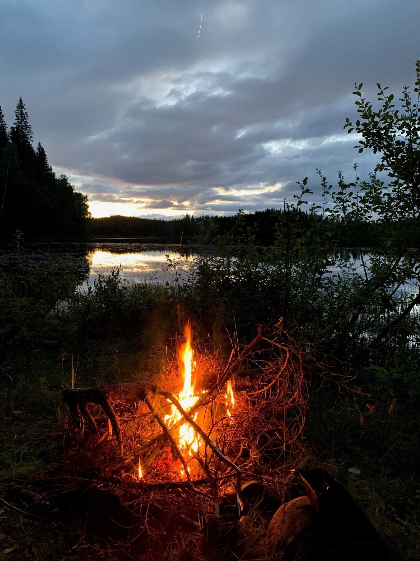 Uansett - Nordmarka og uendelig med muligheter ligger ikke langt unna leiligheten Galleribilde