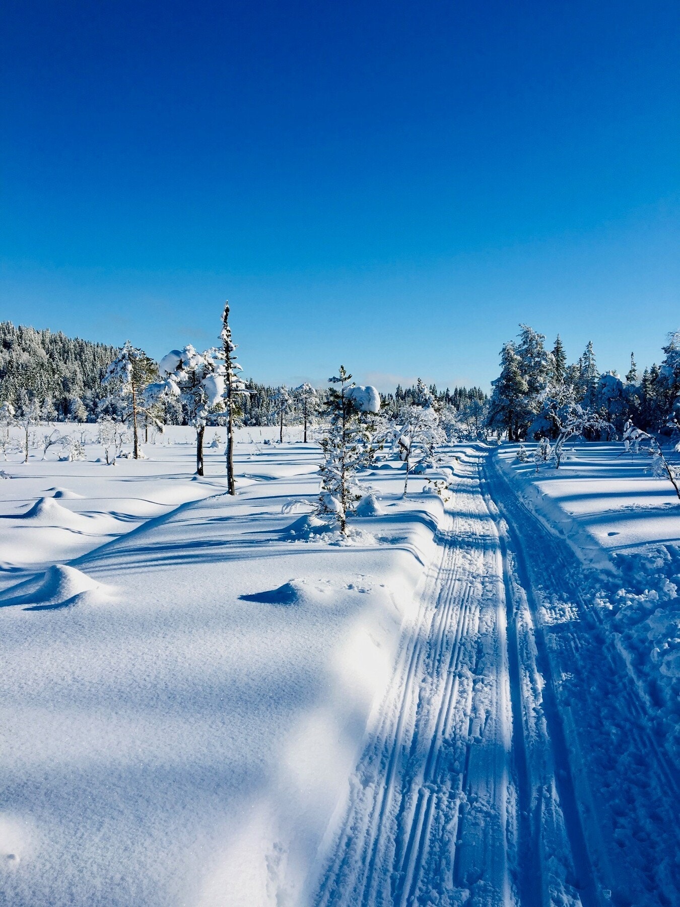 Trikkeskinner og milevis med eventyrløyper ligger ikke langt unna.. Galleribilde