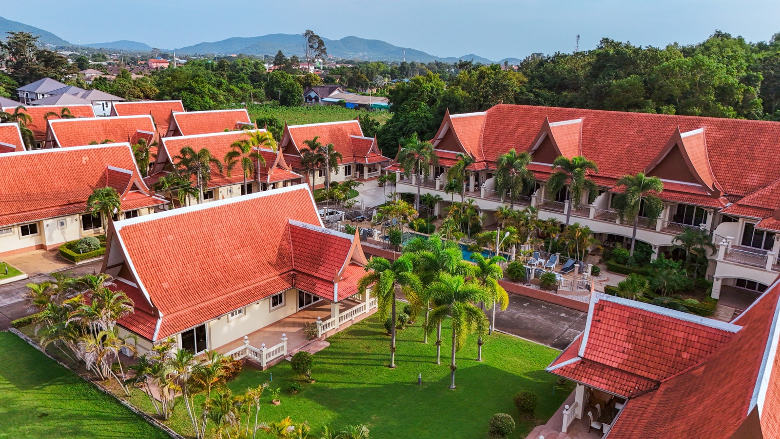 Velstelt hage med palmer og blomster Galleribilde